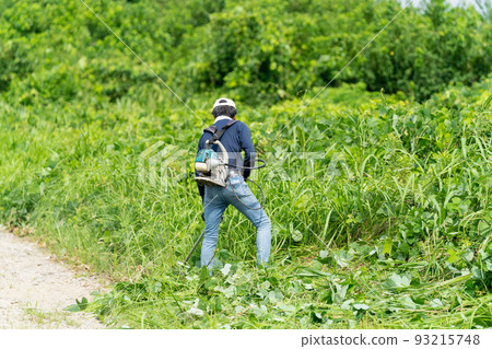 夏季割草和草坪割草 93215748