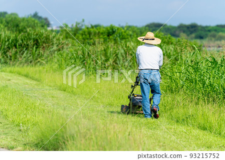 Summer mowing and lawn mowing 93215752