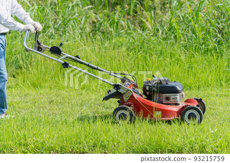 Summer mowing and lawn mowing Summer mowing and lawn mowing 93215759