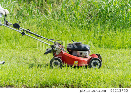 夏季割草和草坪割草 夏季割草和草坪割草 93215760