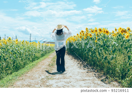 走在向日葵田向日葵田裡的女人 93216911