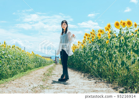 Woman surrounded by sunflowers sunflower field 93216914