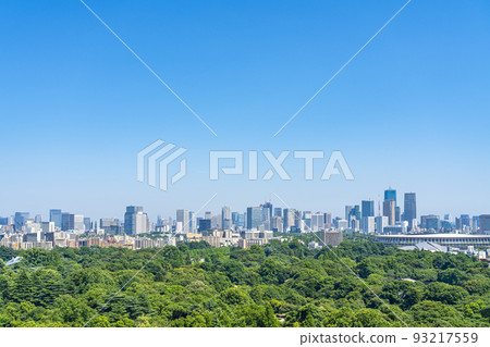 [東京]新宿御苑和從新宿看的城市景觀 93217559