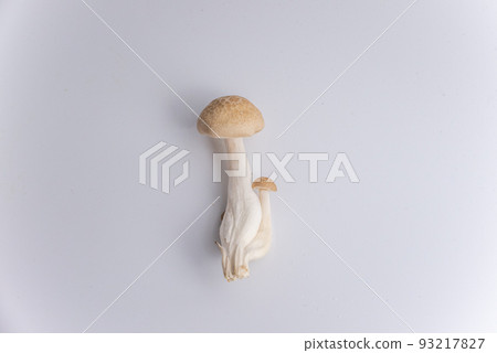 1 shimeji 蘑菇 白色背景 1 shimeji 蘑菇 白色背景 93217827