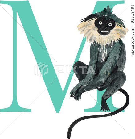 Tropical wildlife alphabet A-Z watercolor png 93218499