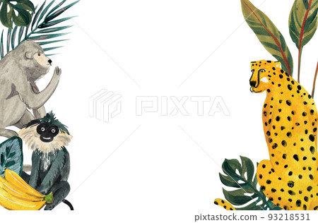 Tropical wildlife frame watercolor png Tropical wildlife frame watercolor png 93218531
