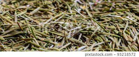 fir needles 93218572