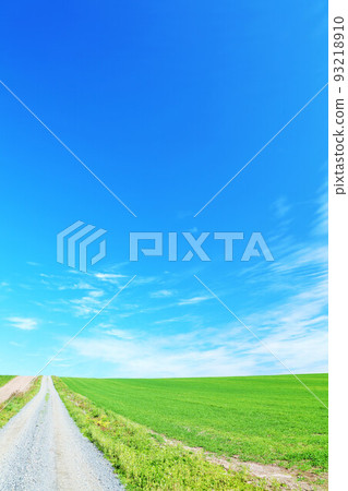 Hokkaido's autumn blue sky and Biei land 93218910