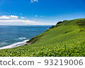 Itanki Hill 夏季 Sea Horizon Itanki Hill 夏季 Sea Horizon 93219006
