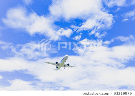 《Airplane》 Airbus Airbus A321neo (A320neo Family) 《Airplane》 Airbus Airbus A321neo (A320neo Family) 93219979
