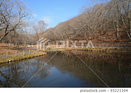 北山公園 2021-12-12 #7 93221104