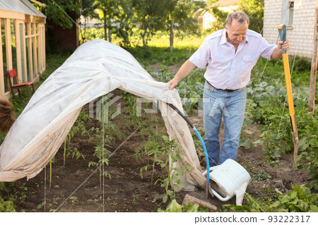 Elderly couple sets a greenhouse at a garden plot Elderly couple sets a greenhouse at a garden plot 93222317