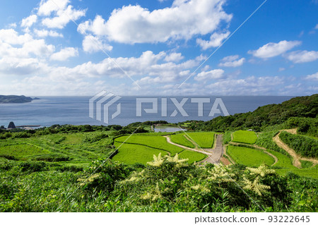 山口縣長門市東牛畑梯田100個日本精選梯田 93222645