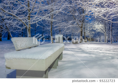 Selective focus on a snow-covered bench. Night view of the alley of the park 93222723