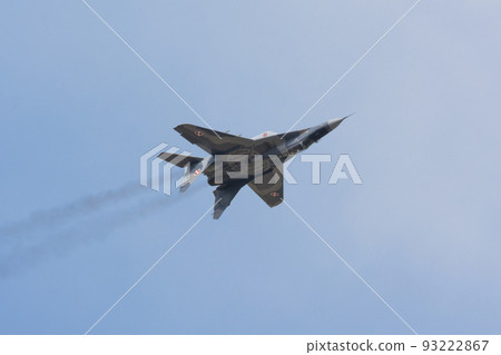 波蘭空軍 MiG-29 示範隊後視圖 93222867