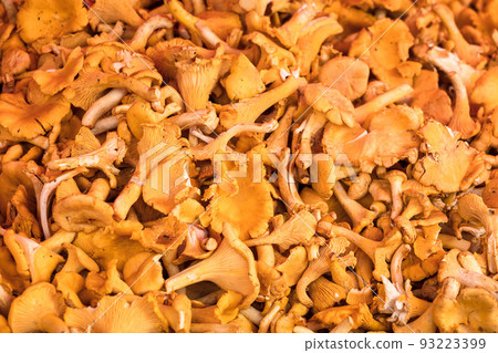 sale of mushrooms on farm market sale of mushrooms on farm market 93223399