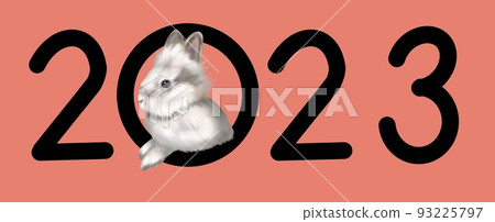 Happy Chinese new year greeting card 2023 with rabbit. Animal holidays realistic character.  93225797