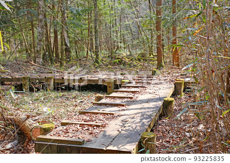 團多浦溪谷原始森林 Kirara Forest - 愛知縣設樂町 93225835