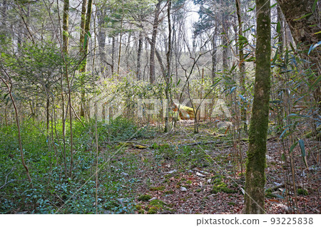 團多浦溪谷原始森林 Kirara Forest - 愛知縣設樂町 93225838