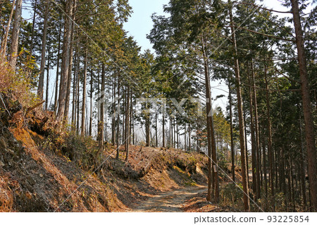 團多浦溪谷原始森林 Kirara Forest - 愛知縣設樂町 93225854