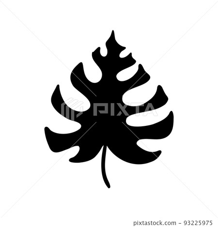 Tropical leaves. Hand drawn jungle leaf set. Vector exotic monstera floral decorative set Tropical leaves. Hand drawn jungle leaf set. Vector exotic monstera floral decorative set 93225975