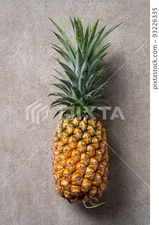 Bromeliad tropical leaves penglai banana background turtle leaf pineapple background パ イ ナ ッ プ ル Bromeliad tropical leaves penglai banana background turtle leaf pineapple background パ イ ナ ッ プ ル 93226335