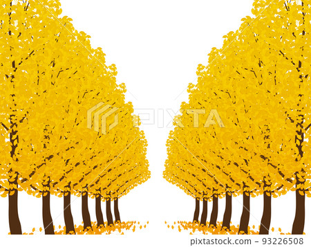 Ginkgo 93226508
