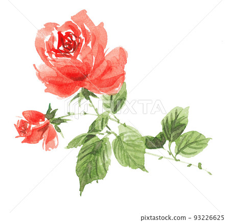 玫瑰花 紅色 水彩畫 93226625