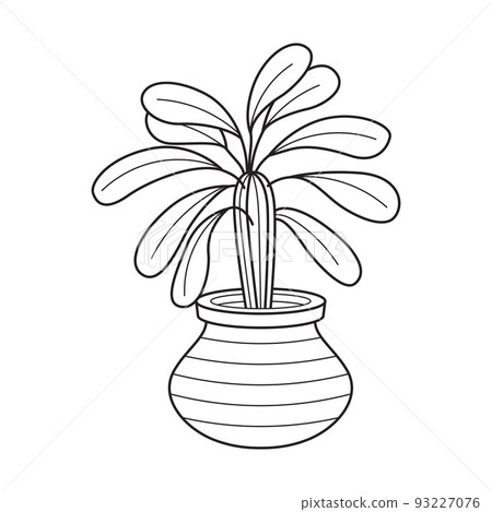 Vector outline house plant in pot. Indoor home plant with leaves. Cacti for home and interior. Botanical doodle linear black and white illustration isolated on white background. Vector outline house plant in pot. Indoor home plant with leaves. Cacti for home and interior. Botanical doodle linear black and white illustration isolated on white background. 93227076