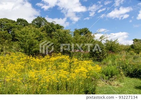 群馬縣中之條町山上庭園內的大江石 群馬縣中之條町山上庭園內的大江石 93227134