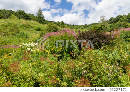 群馬縣中之條町山上庭園 93227171