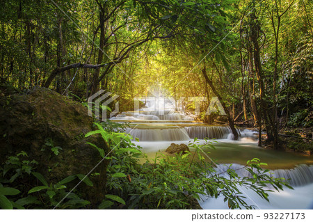 Beautiful waterfall nature scenery of colorful deep forest in summer day 93227173