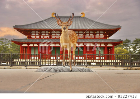 Nara deer 93227418