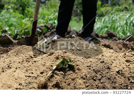 man piling up organic compost in the garden man piling up organic compost in the garden 93227724
