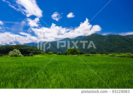 Vivid rice fields and mountains in summer 93228063