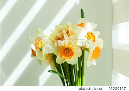 Bouquet of flowers daffodils Bouquet of flowers daffodils 93229137