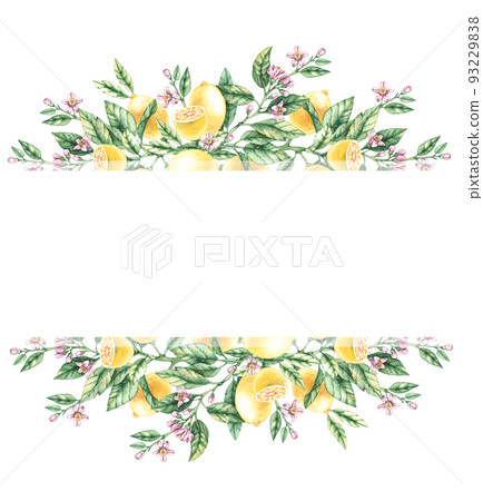 Watercolor frame of lemons on a white background Watercolor frame of lemons on a white background 93229838