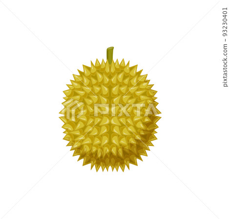 Durian exotic dessert, tasty yellow pulp isolated flat cartoon design. Vector tropical Durio zibethinus, vegetarian food snack. Asian smelling fruit with odour flavour, breadfruit jackfruit 93230401
