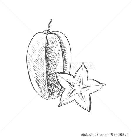 Carambola fruit isolate starfruit sketch whole and cut.of exotic tropical fruit 93230871