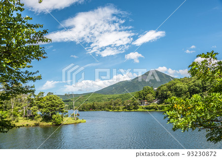 《長野縣》茅野市白樺湖蓼科山 93230872