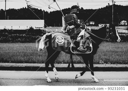 Cavalry warrior Cavalry warrior 93231031