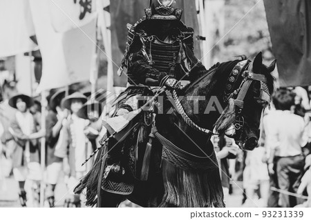 Cavalry warrior Cavalry warrior 93231339