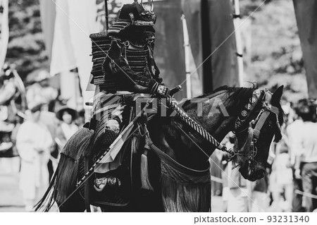 Cavalry warrior 93231340