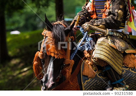 Cavalry warrior 93231580