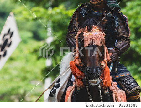 Cavalry warrior Cavalry warrior 93231585