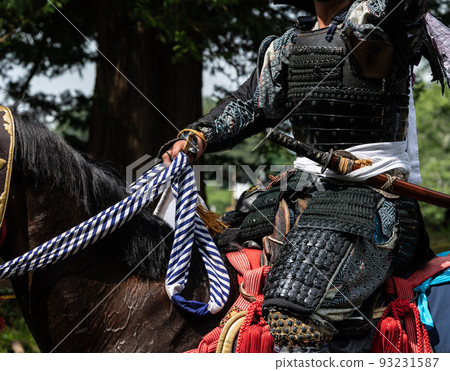 Cavalry warrior Cavalry warrior 93231587