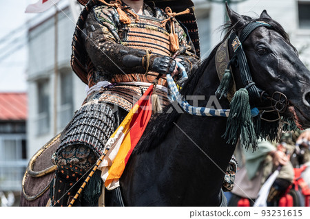 Cavalry warrior Cavalry warrior 93231615