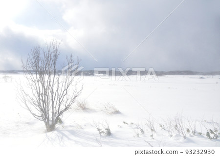 Scenery of the Soya Main Line from Asahikawa Station to Wakkanai Station in December 2021, Hokkaido 93232930