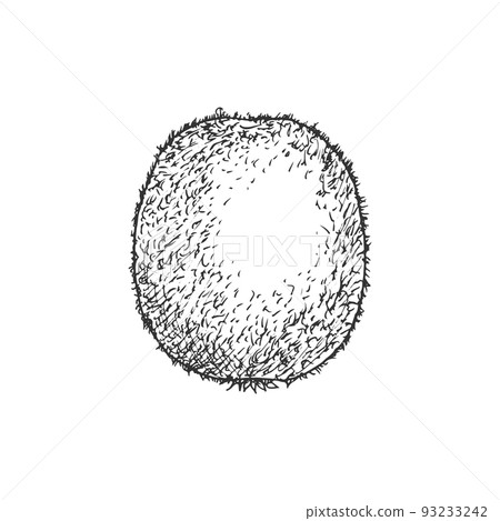 Kiwi tropical fruit sketch. Vector isolated organic whole exotic kiwi fruit 93233242