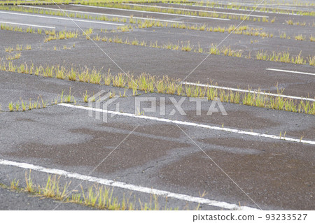 Weedy parking lot 93233527